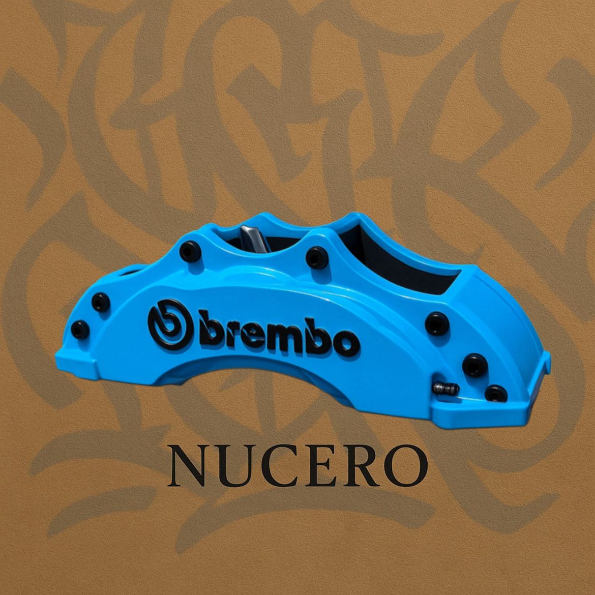 Organizador pinza de freno brembo